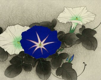 井出岳水作「朝顔」日本美術版画、木版画、ジクレー、版画、美術