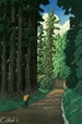 Japanese Art Print 'Road to Nikko' by Kawase Hasui, woodblock, giclée, print, asian art, cultural art, forest, Japanese cedar trees 