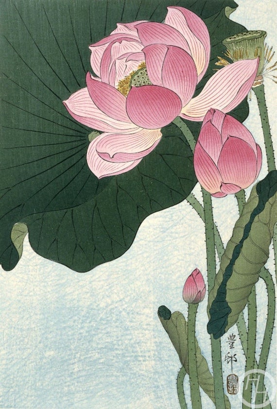 Japanese Art Print lotus by Ohara Koson Woodblock Etsy