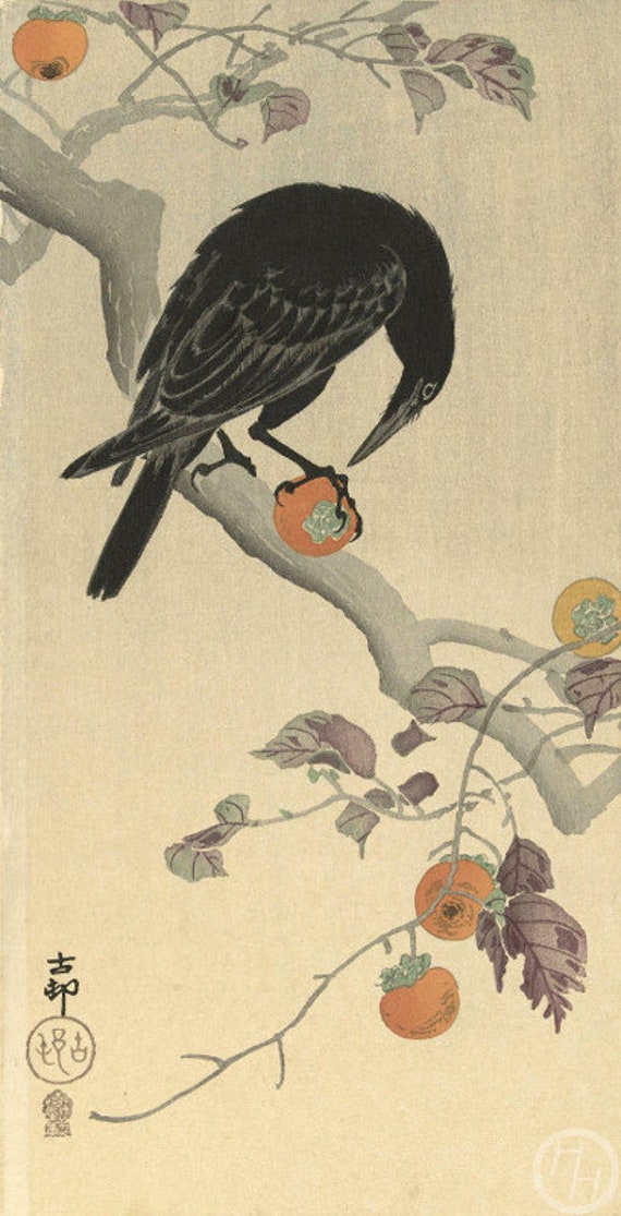 小原古邨による日本の版画「柿を食べるカラス」、木版画 小原古邨による日本の版画「柿を食べるカラス」、木版画
