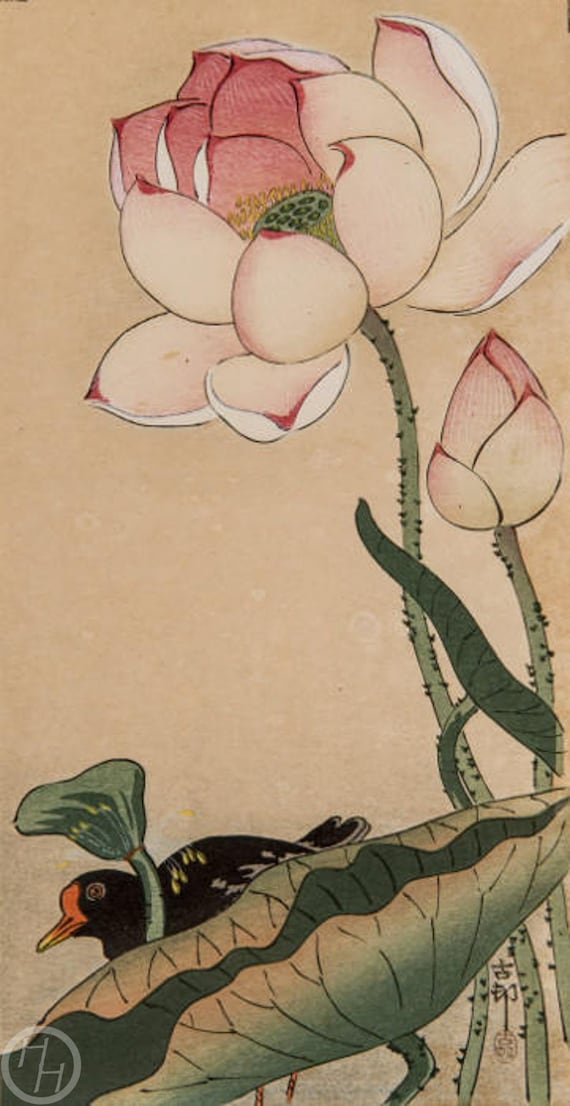 小原古邨による日本のアートプリント「蓮とレール」、木版画