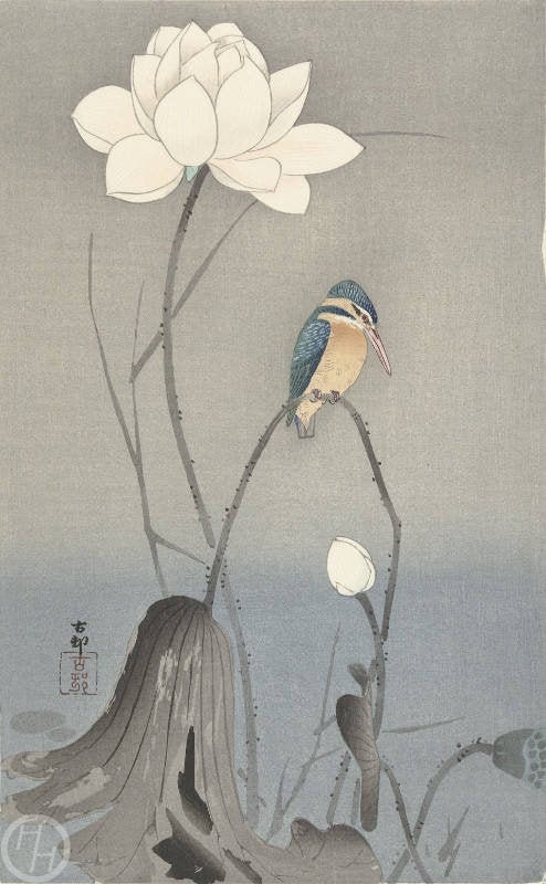 小原古邨による日本のアートプリント「蓮の花を持つカワセミ