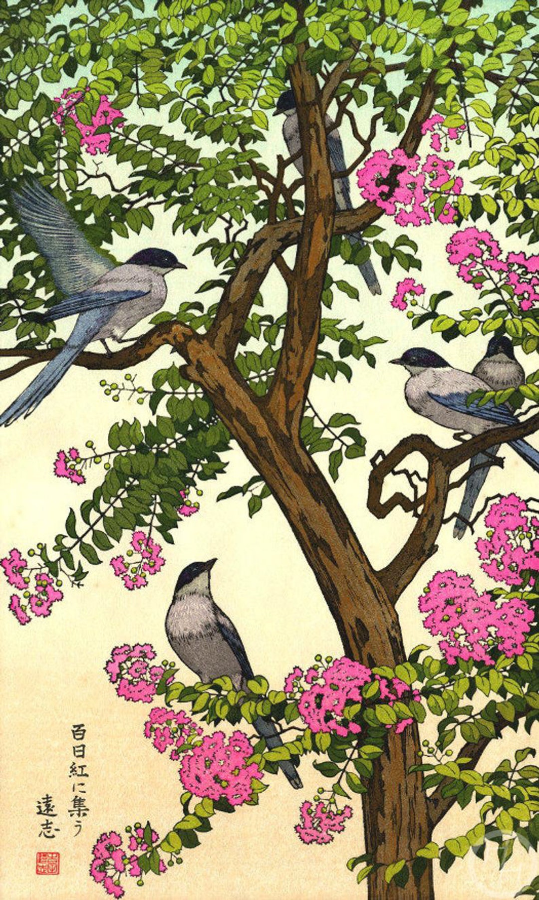 吉田敏による四季の鳥シリーズより「夏」の日本美術版画、木版画