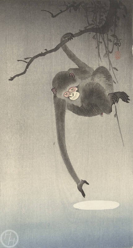小原古邨による日本の版画「月を狙う猿」、木版画、ジクレー
