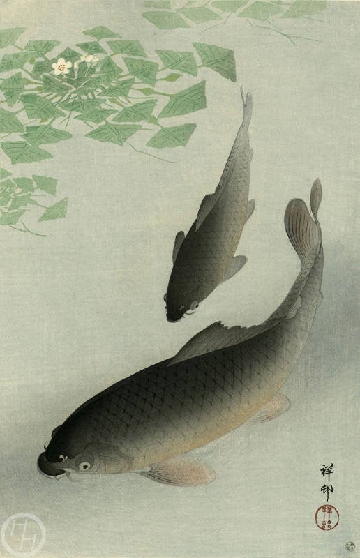 Fine Art Print Vintage Japanese Art Green Japanese Art Print Carp Koi by Ohara Koson #368 Vintage Prints Art Reproduction Grey