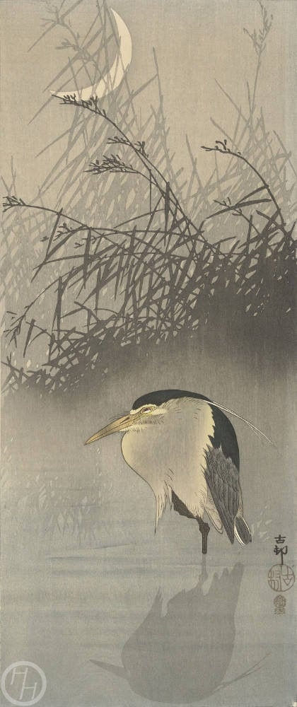 小原古邨「雨中の田鷸」木版画 没後80年 小原古邨 ―鳥たちの楽園」（太田記念美術館）レポート