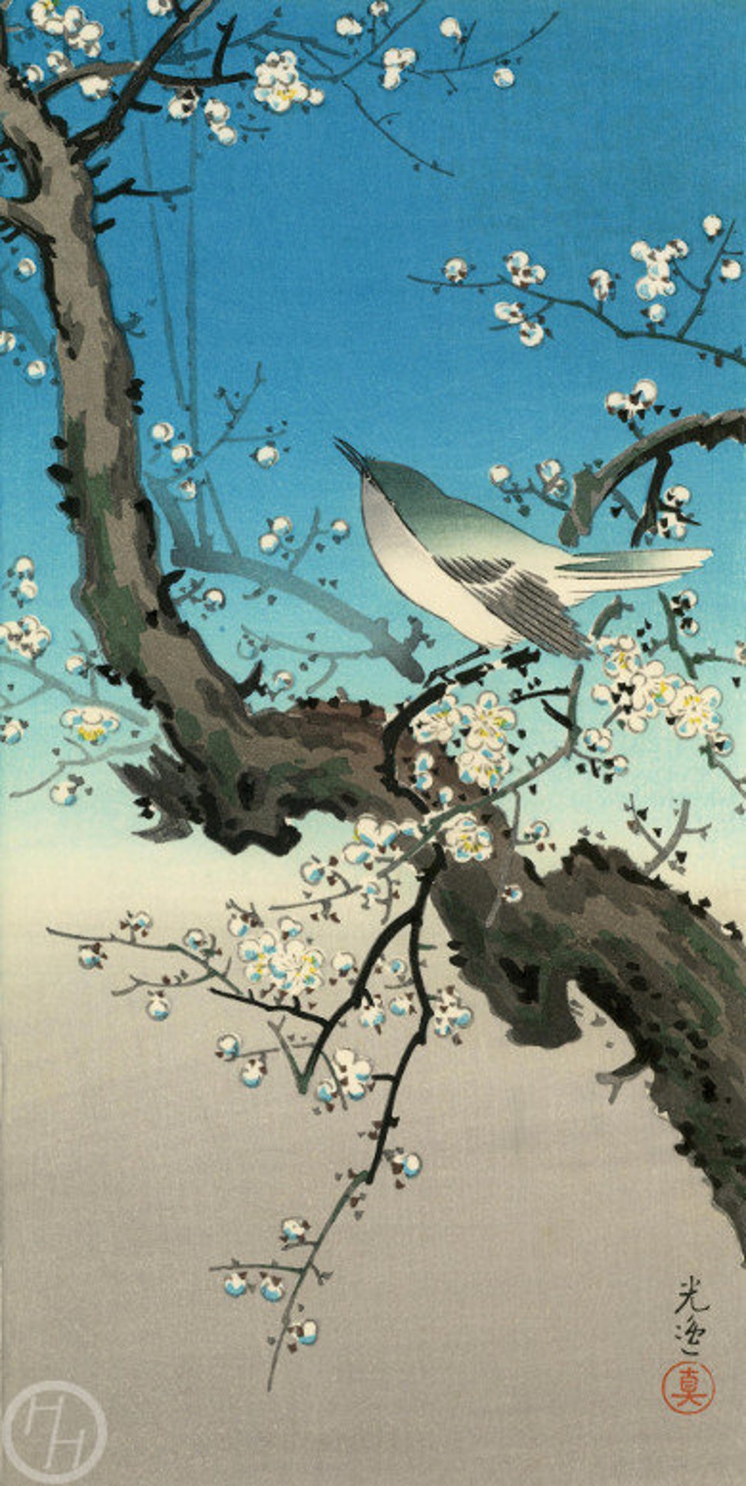 スタジオコレクション 飾皿 梅とうぐいす