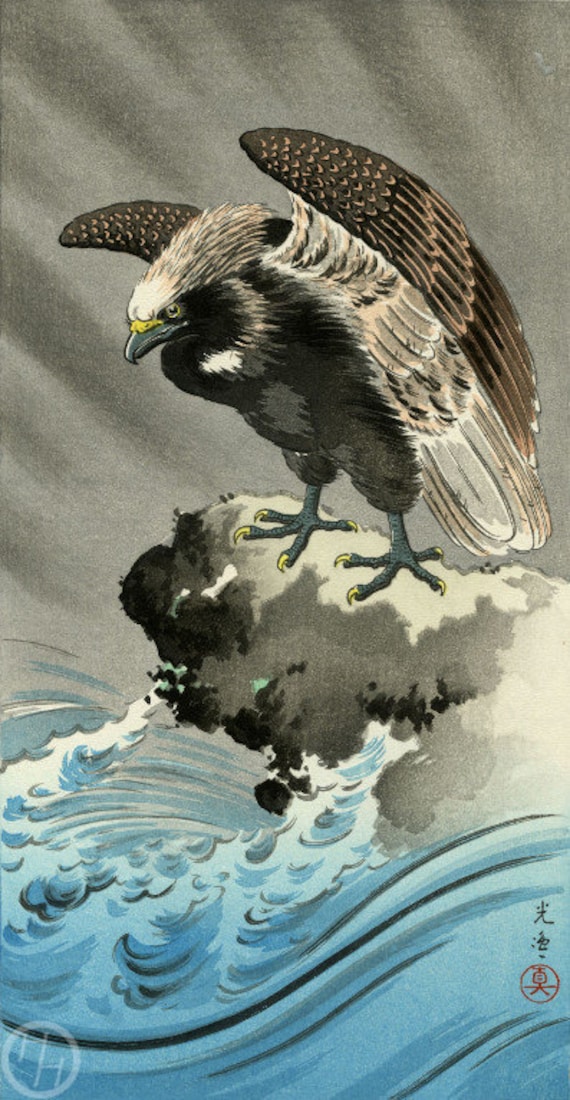 日本画 (版画) 土屋幸一による日本のアートプリント「鷲」、木版画、ジクレー、版画