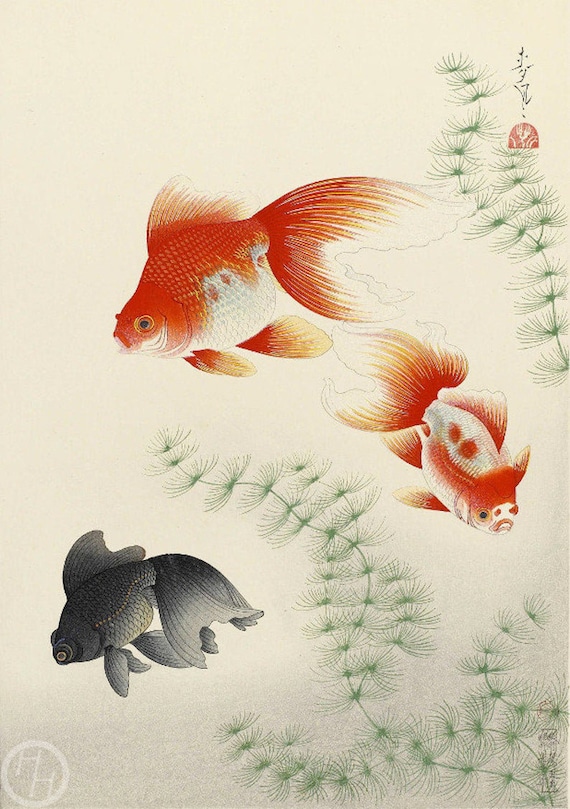 月と金魚 絵画 アサ 通販 196074｜Creema(クリーマ)