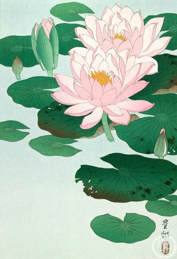 小原古邨による日本のアートプリント「睡蓮」、木版画、ジクレー