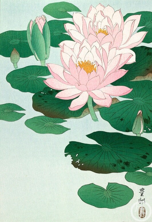 小原古邨による日本のアートプリント「睡蓮」、木版画、ジクレー
