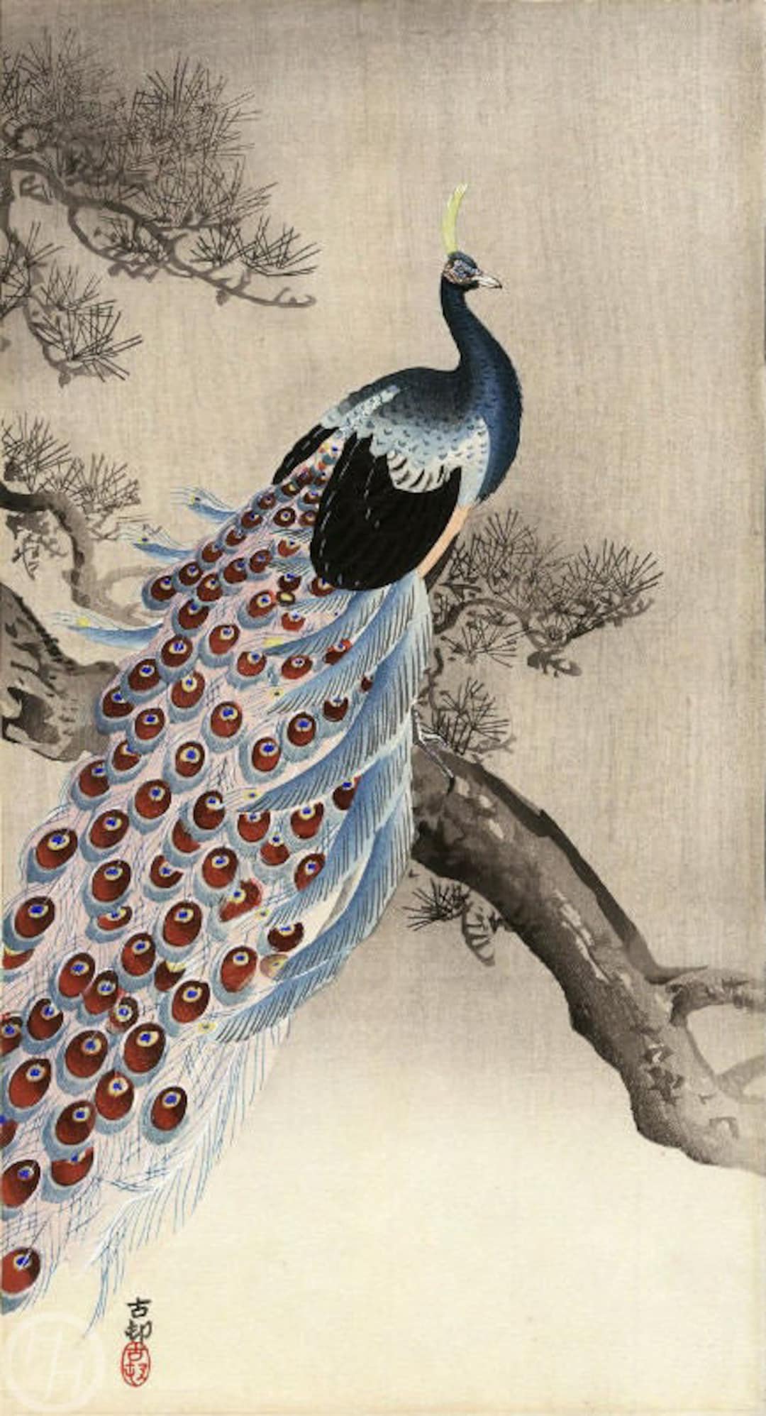 Japanese Art Print peacock on a Bough of a Pine - Etsy