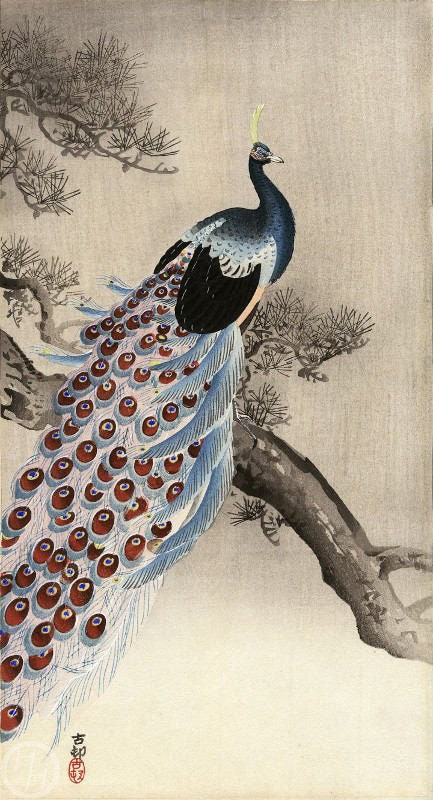 ★Original ART  ‘Peacock’ Japanese Art Print 