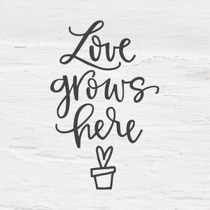 L'amour pousse ici svg, svg à lettres manuscrites, fichier découpé Love, conception cricut, citation, lettrage, calligraphie, conception de chemise, SVG, eps, dxf, png