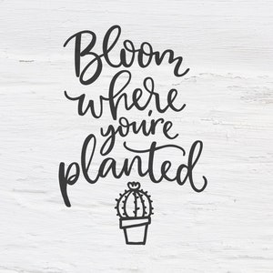 Bloom donde estás plantado svg, Handlettered svg, Love cutfile, cricut design, quote, lettering, caligraphy, shirt, SVG, eps, dxf, png