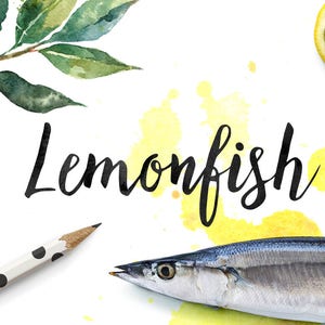 Brush font, wedding font, Modern calligraphy font, Cursive font, Handwritten font, font download, cute font, digital font