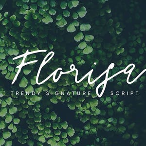 Cursive font, Signature font, wedding font, Modern calligraphy font, Handwritten font, font download, cute font, digital font