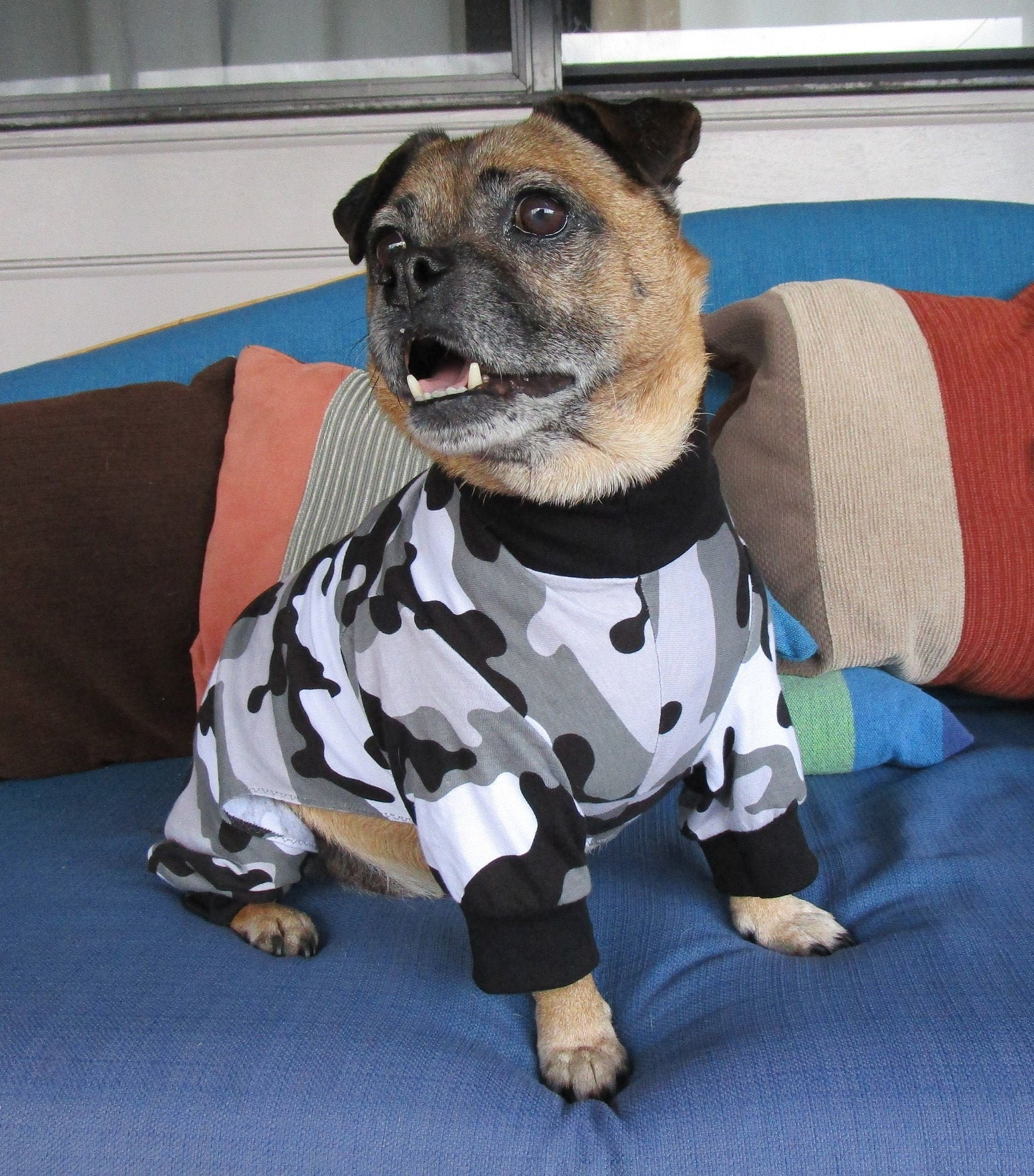 Large dog hotsell onesie pajamas