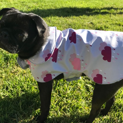 Dog Raincoat Lined With Fleece With 