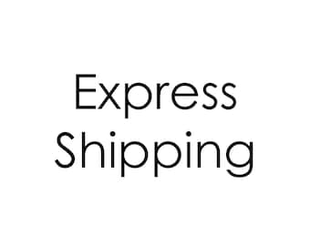 Express Shipping (Special listing only)