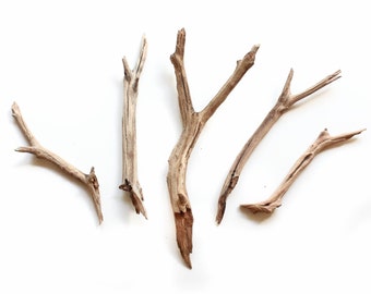 Aquarium Manzanita Nano Twigs/Driftwood - 5 Pieces 5"-8"