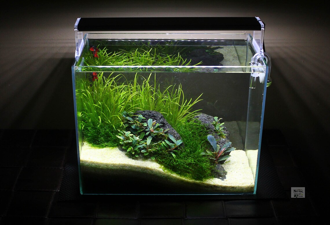 Black Lava Stone Aquarium Aquascape Smooth Safe for ALL Etsy