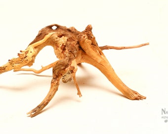Spider Wood Aquarium Nano Driftwood 7"x6"x3" (LxWxH) - WYSIWYG Spiderwood - Aquarium, Decor, Display, Reptile