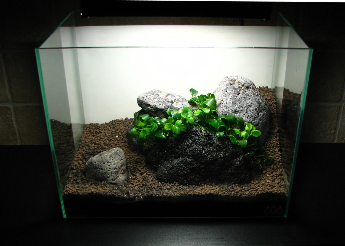 Black Lava Stone Aquarium Aquascape Smooth Safe for ALL Etsy