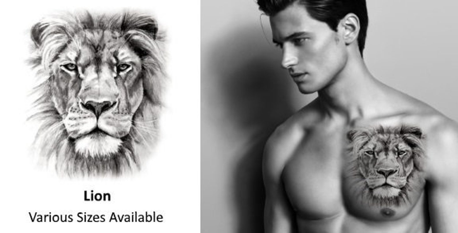 эскизы льва у мужчин на груди (120) фото