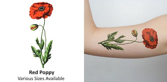 Red Poppy Temporary Tattoo Etsy