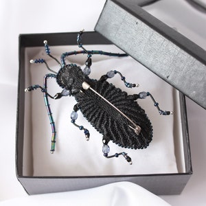 May include: A black beaded beetle brooch with iridescent blue and black accents. The brooch is in a black box with a clear lid.