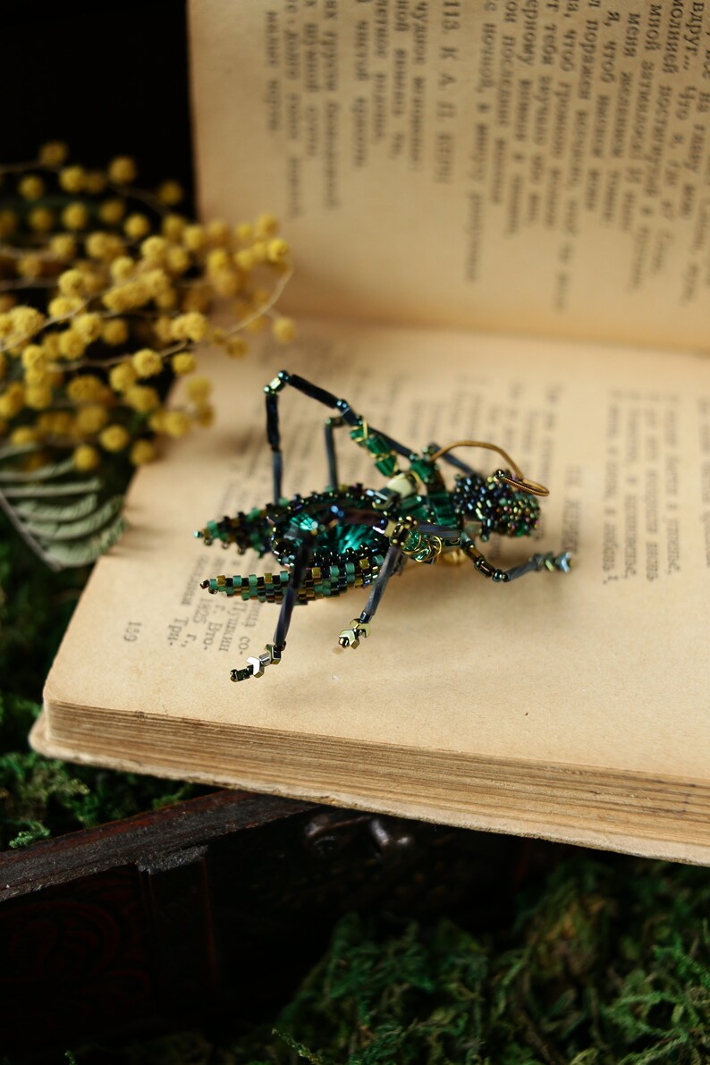 May include: A green and black beaded insect brooch with gold wire accents. The brooch is sitting on an open book.