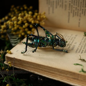 May include: A green and black beaded grasshopper brooch with gold wire accents. The brooch is sitting on an open book with yellow flowers in the background.