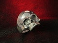 Skull Ring, Sterling Silver, Skull Jewelry product logo