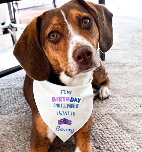 Happy Birthday Pet Bandana, Pet Birthday, Pet Birthday Gift, Dog