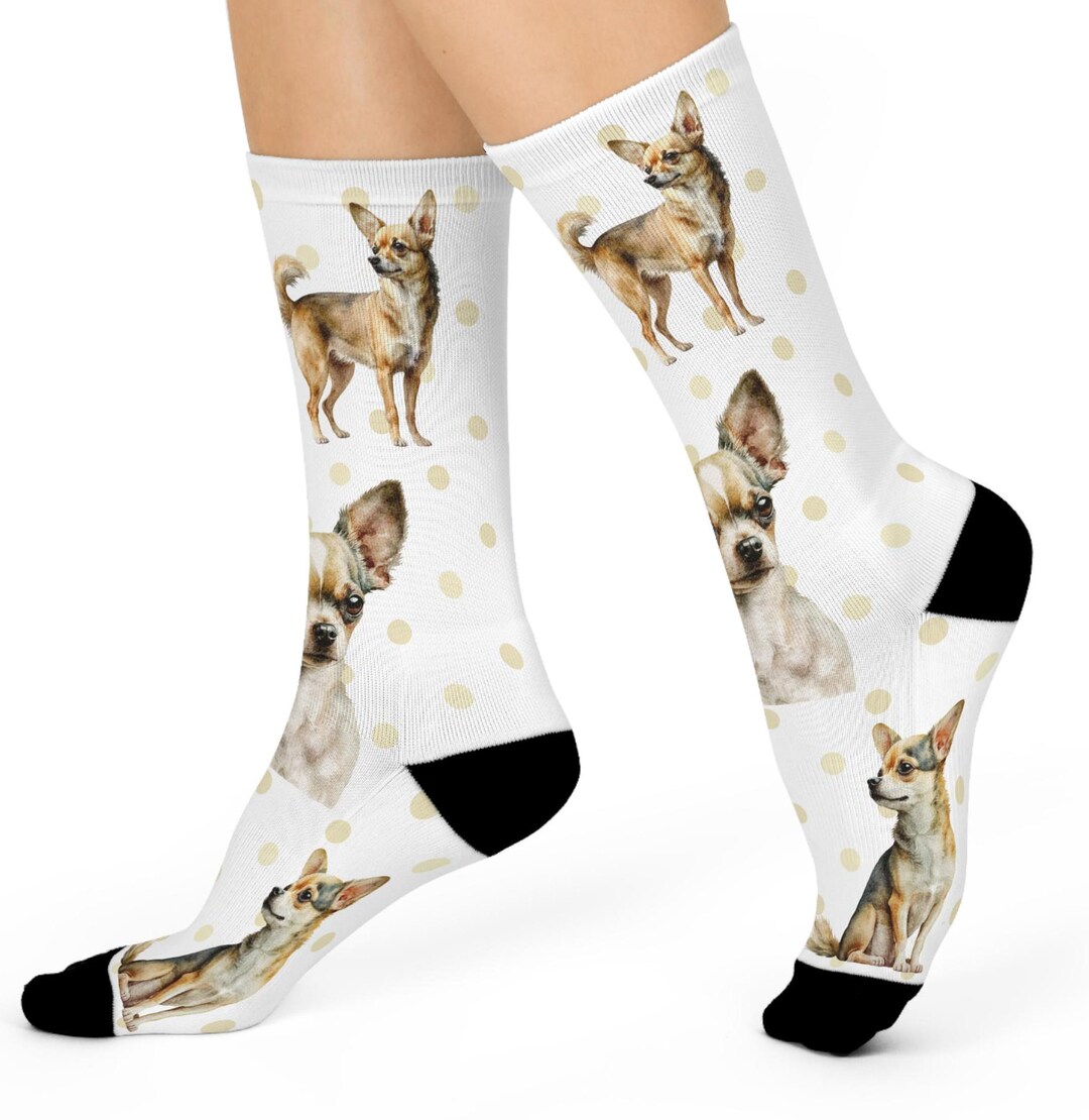 Chihuahua Knee High Socks