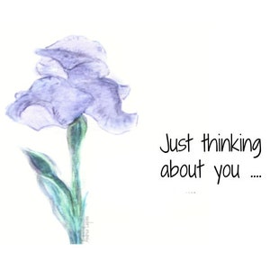 All Occasion Card, Iris Flower Card, Flower Card, Card, Blank Inside Card, Card Lot, Card Bundle