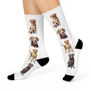 Labrador Retriever Socks, Lab Owner Gift,Labrador Sock Gift, Socks, Crew Socks, Labrador Rtrvr Owner Socks, Gift Mom, Gift Dad
