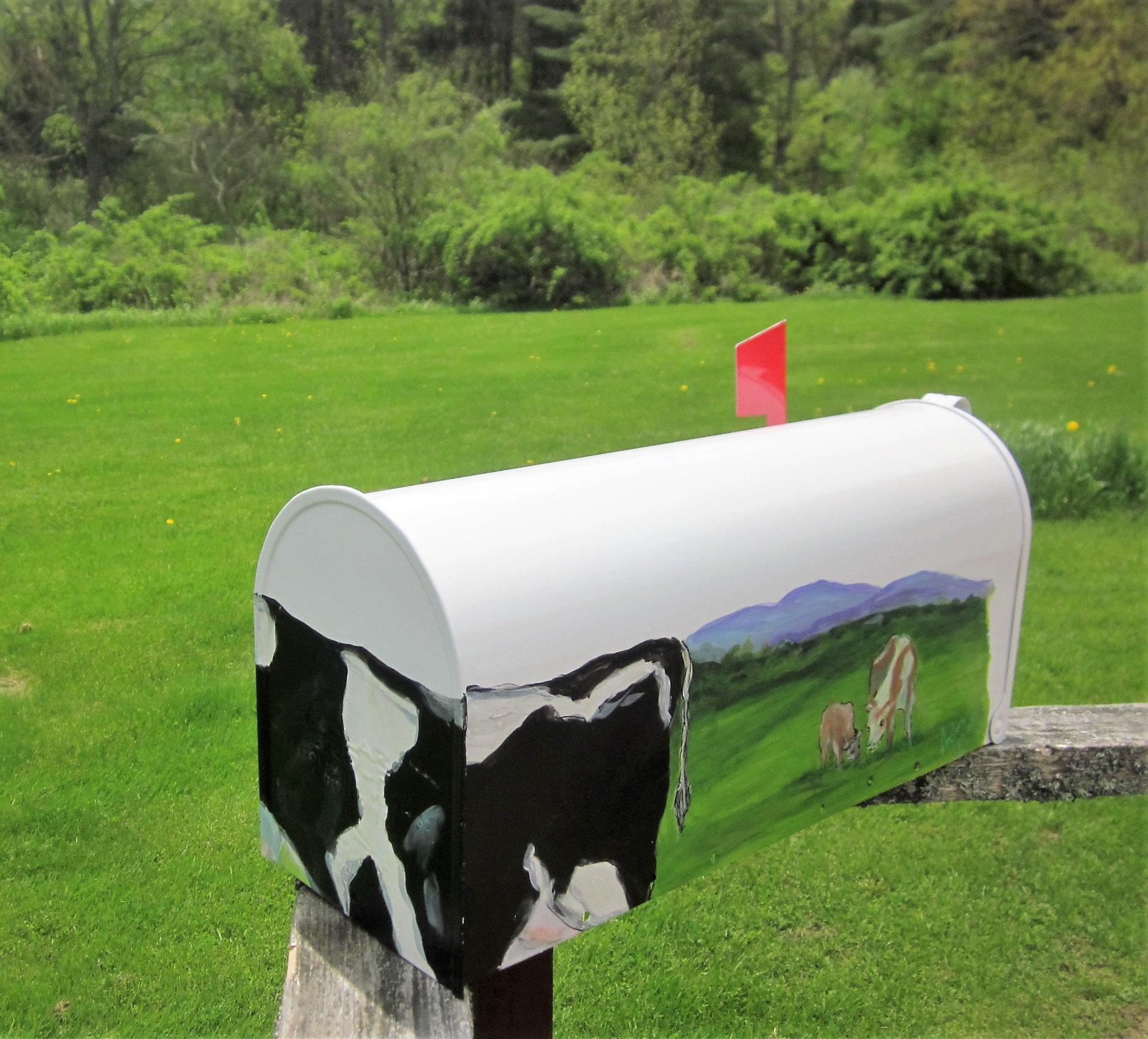 Hand Painted Mailbox House Warming Gift Valentines Gift Etsy