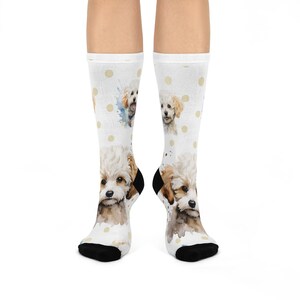 Bichon Dog Socks, Favorite Pet Socks, Bichon Frise Socks, Pet Lover Socks, Your Pet on Socks, Your Pet&#39;s Pic on Socks
