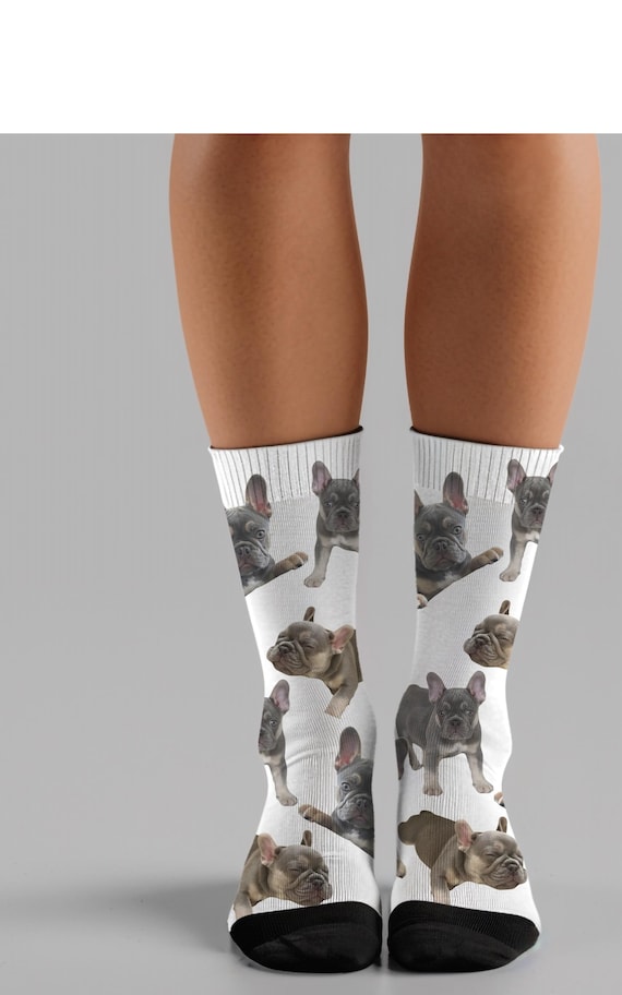 Chaussettes bouledogue français, chaussettes frenchie, chaussettes