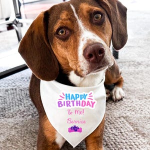 Happy Birthday Pet Bandana, Pet Birthday, Pet Birthday Gift, Dog Birthday, Cat Birthday, Pet Lover Gift, Pet Lover Bandana, Dog Gift, Gift