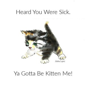 You Gotta Be Kitten Me, Get Well Card, Kitten Card, Card, Blank Inside Card, Card Lot, Card Bundle