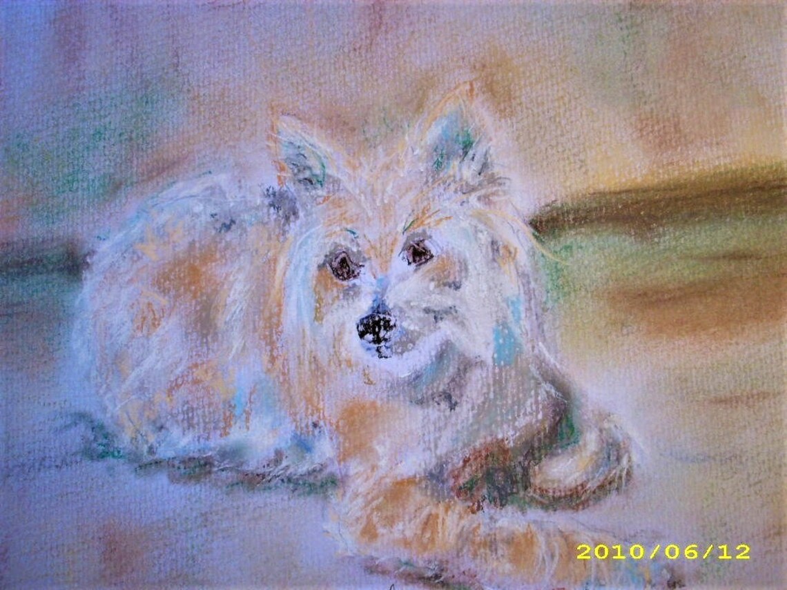 Pet Portraits Pet Memorial Painting Black Cat From Photo Etsy