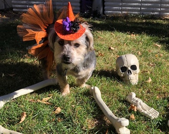 Dog Halloween Tutu and Hat - Dog Costume - Tulle and Satin adjustable size