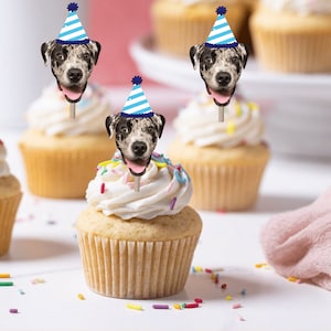 dog face cupcakes