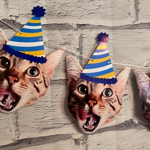 Personalized Cat Photo Banner - Cat Birthday Party garland, gotcha day decor, kitten party, kitty’s first birthday custom banner
