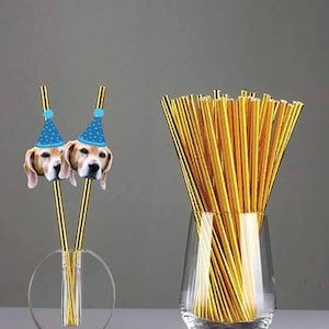 Aangepaste gezicht goudfolie feestrietjes - grappige fotorietjes - feestdecor, gepersonaliseerde decoratie, goud, zilver, roségoud