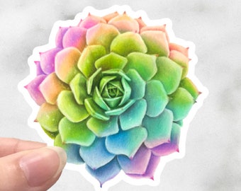 CLOSEOUT SALE - Rainbow succulent sticker - laptop sticker - phone sticker