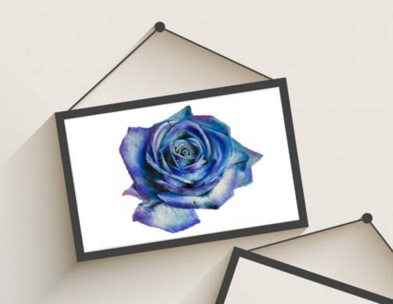 Bleu Vert Et Rose Dessin Estampe Art Mural Fleur Turquoise Pourpre
